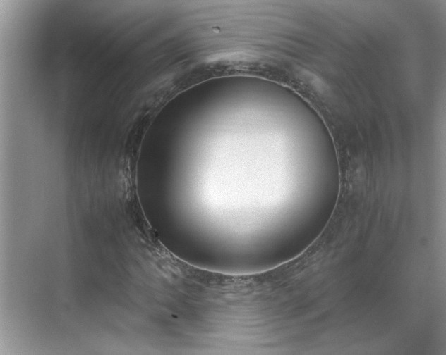 X0000070431062200606161458