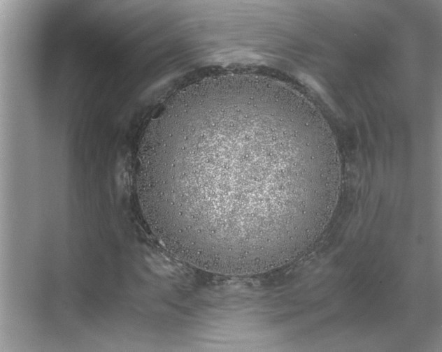 X0000070431063200606161458