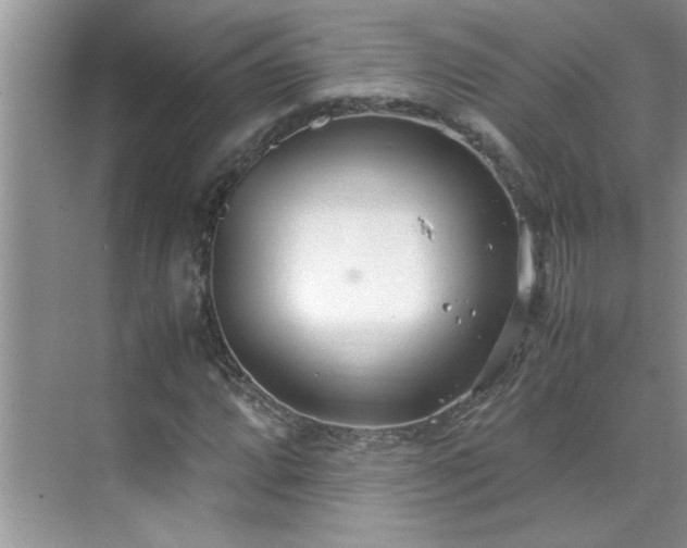 X0000070431064200606161458