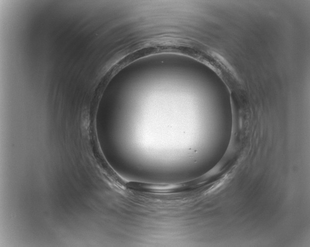 X0000070431065200606161458