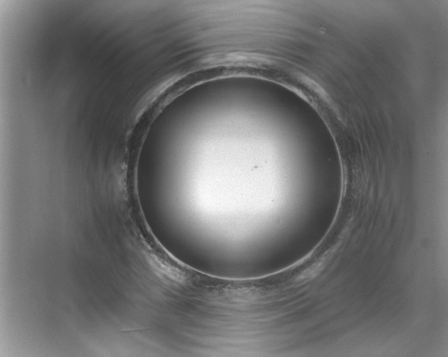 X0000070431066200606161458