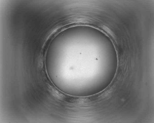 X0000070431067200606161458