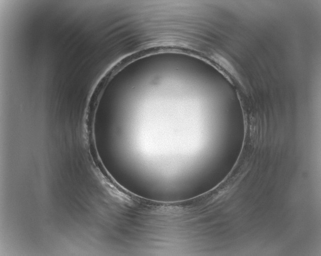 X0000070431068200606161458