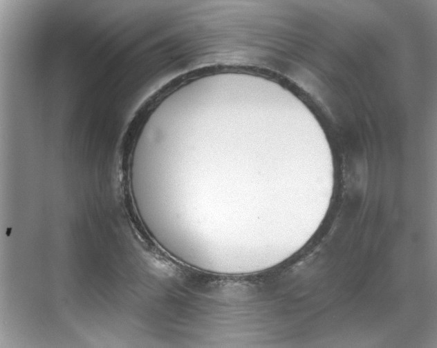 X0000070431070200606161458