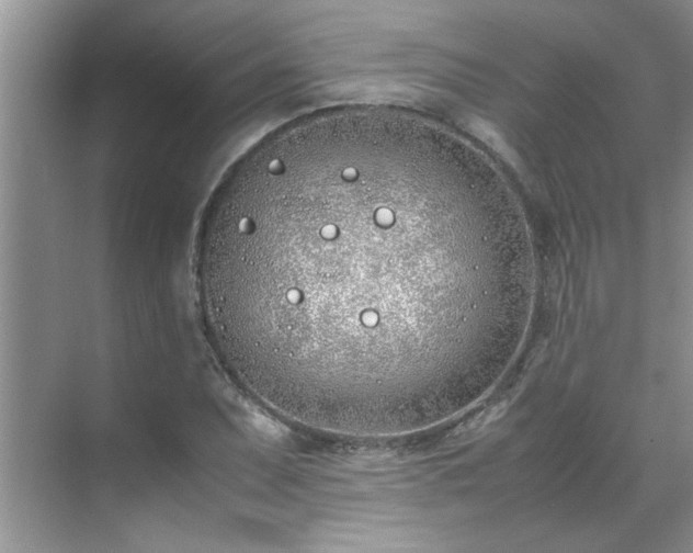 X0000070431071200606161458