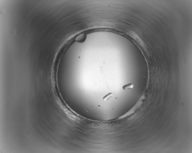 X0000070431072200606161458