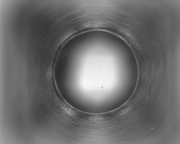 X0000070431073200606161458