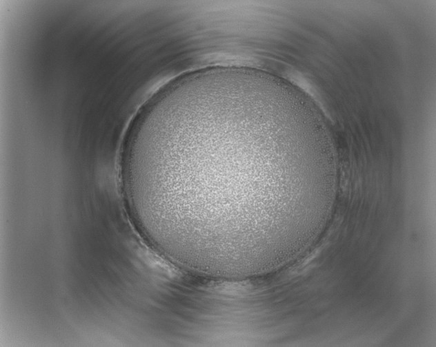 X0000070431074200606161458