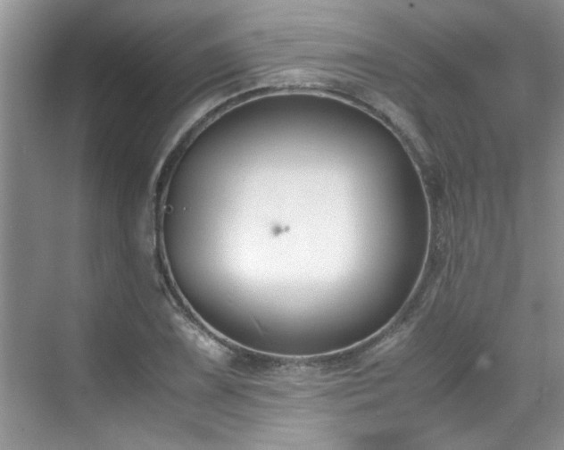 X0000070431075200606161458