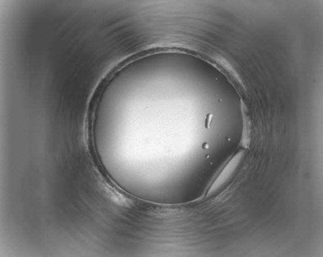 X0000070431076200606161458