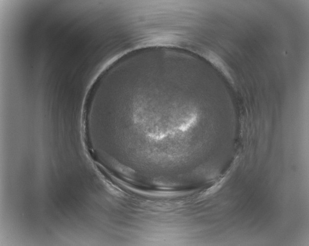 X0000070431077200606161458