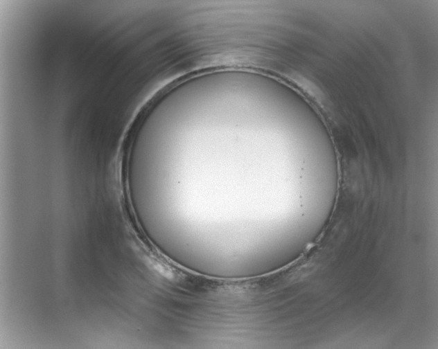 X0000070431078200606161458