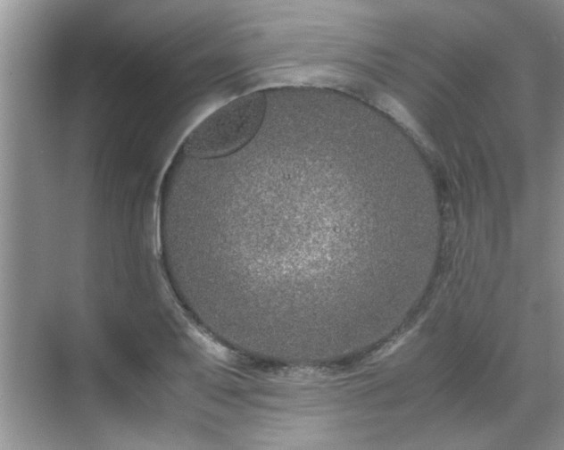 X0000070431079200606161458