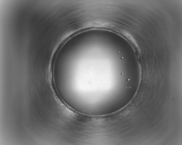 X0000070431080200606161458