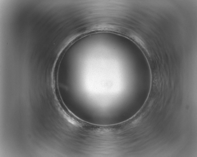 X0000070431082200606161458