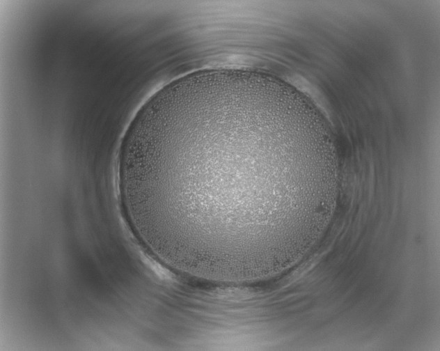 X0000070431083200606161458