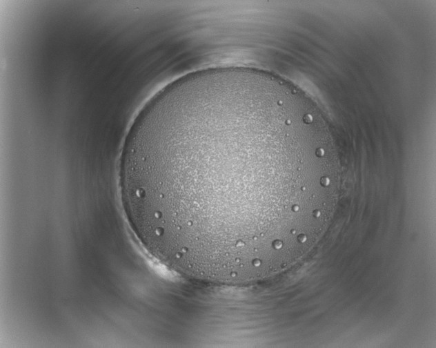 X0000070431086200606161458