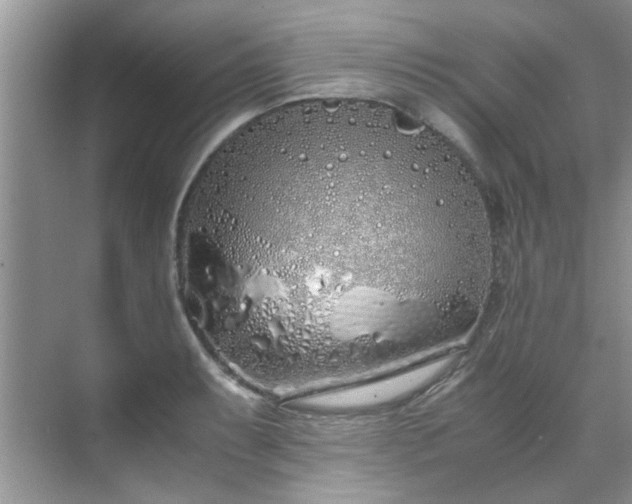 X0000070431087200606161458