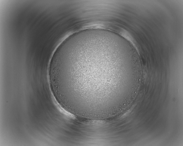 X0000070431090200606161458