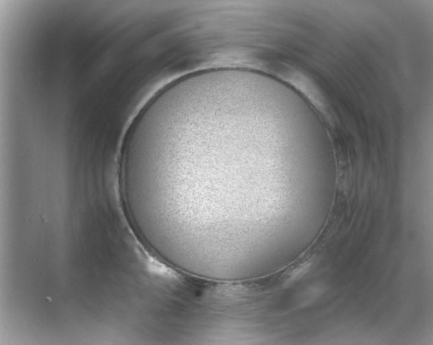 X0000070431094200606161457