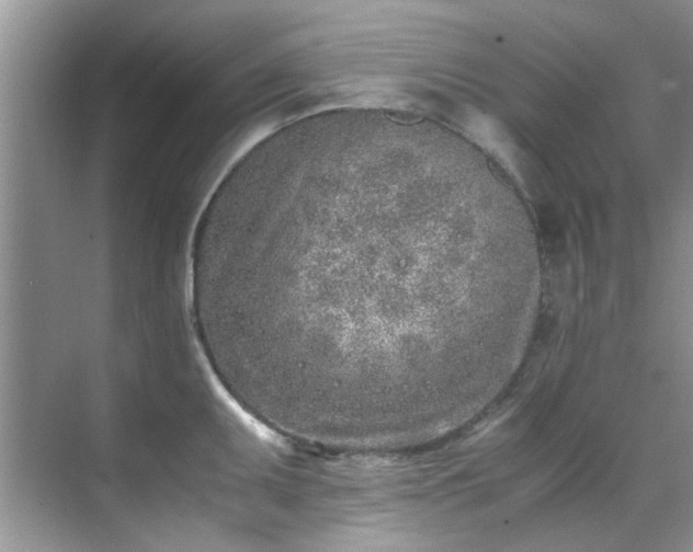 X0000070431095200606161457