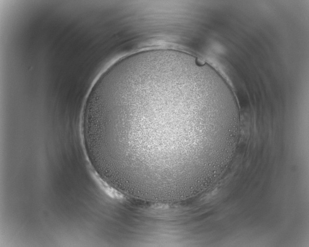 X0000070431098200606161457