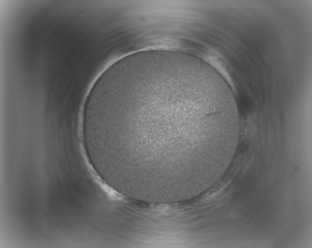 X0000070431099200606161457