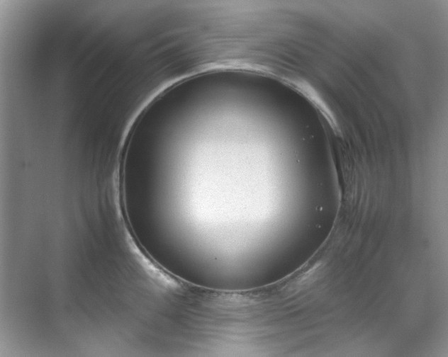 X0000070431100200606161457