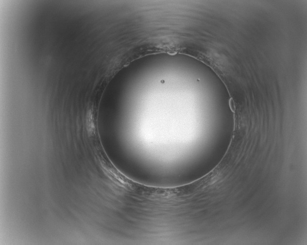 X0000070431106200606161456