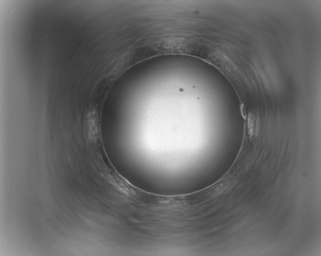 X0000070431107200606161457