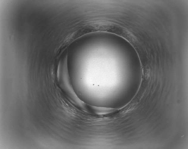 X0000070431108200606161457