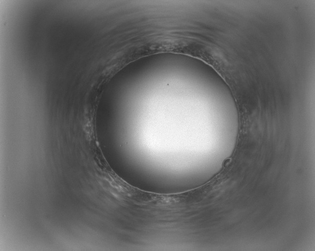 X0000070431109200606161457