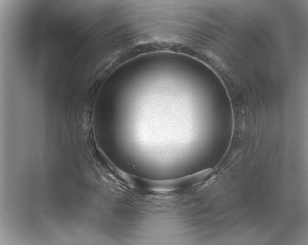 X0000070431110200606161457