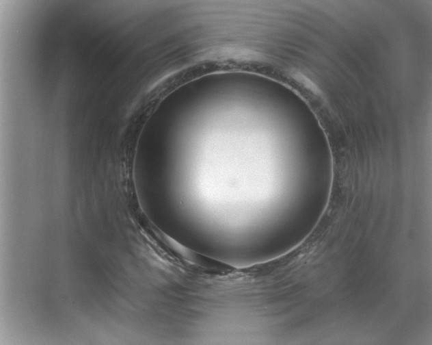 X0000070431112200606161457