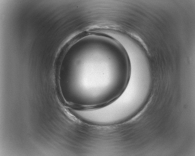 X0000070431114200606161457