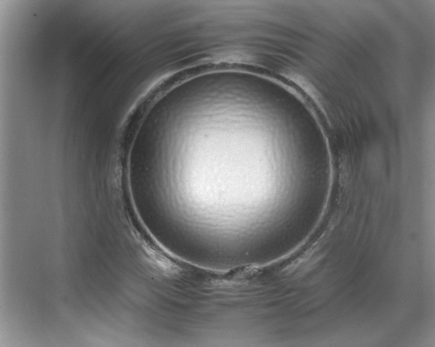 X0000070431115200606161457