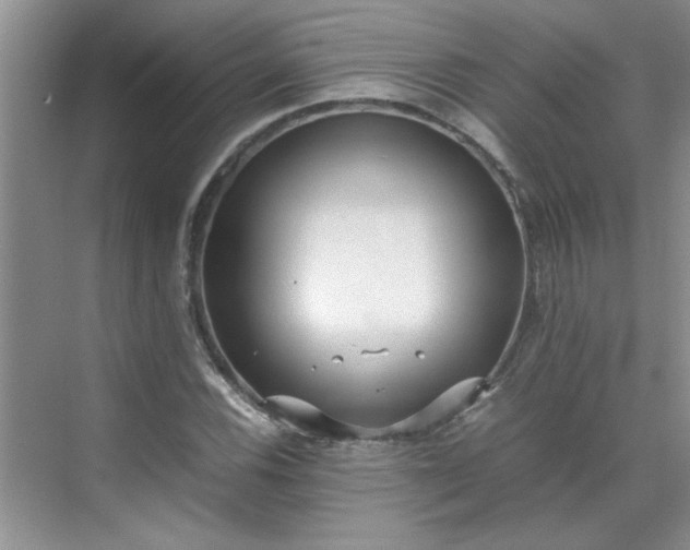 X0000070431116200606161457