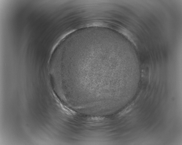 X0000070431117200606161457