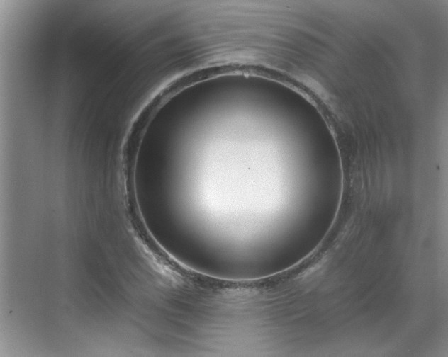 X0000070431118200606161457