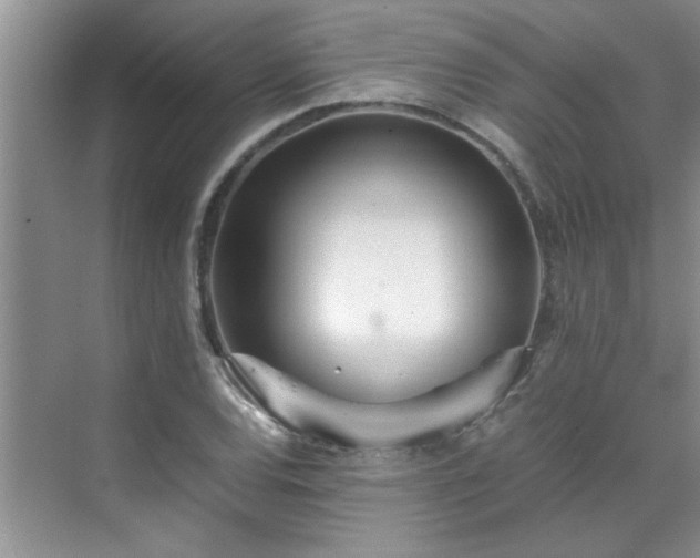 X0000070431120200606161457