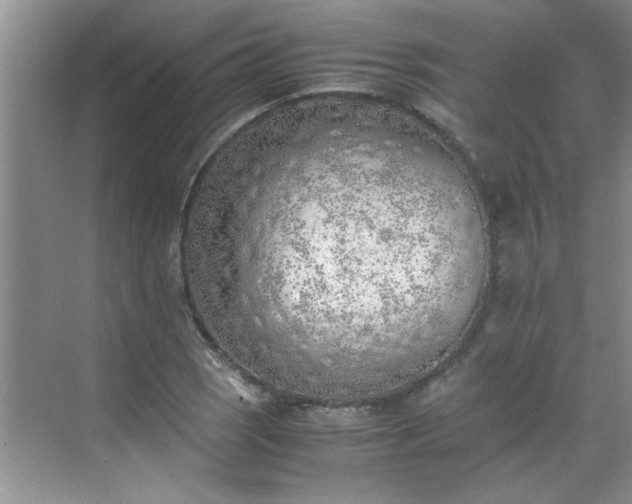 X0000070431121200606161457