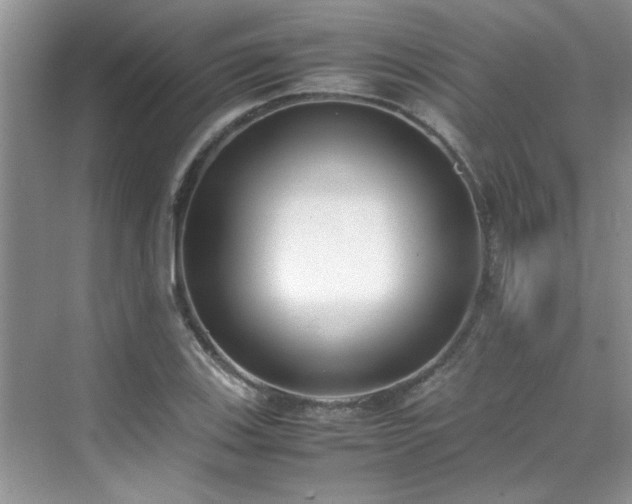 X0000070431123200606161457