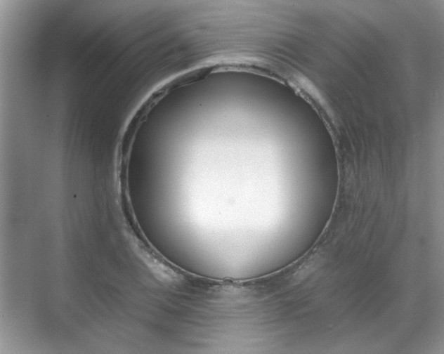 X0000070431124200606161457