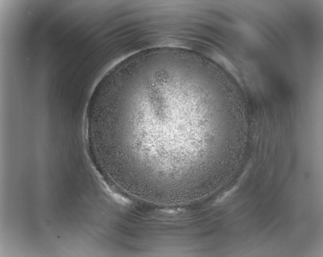 X0000070431125200606161457