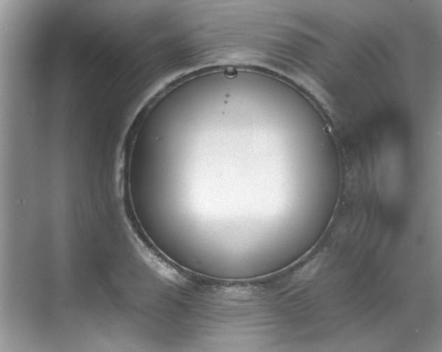 X0000070431126200606161457