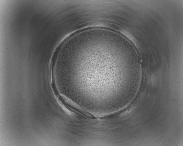 X0000070431127200606161457