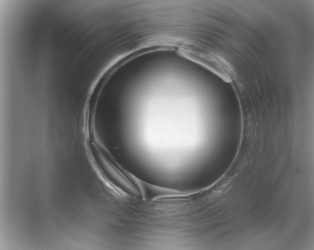 X0000070431128200606161457