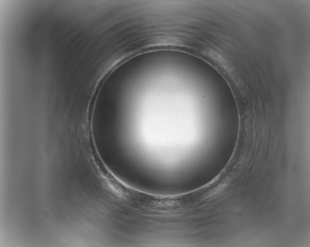 X0000070431129200606161457