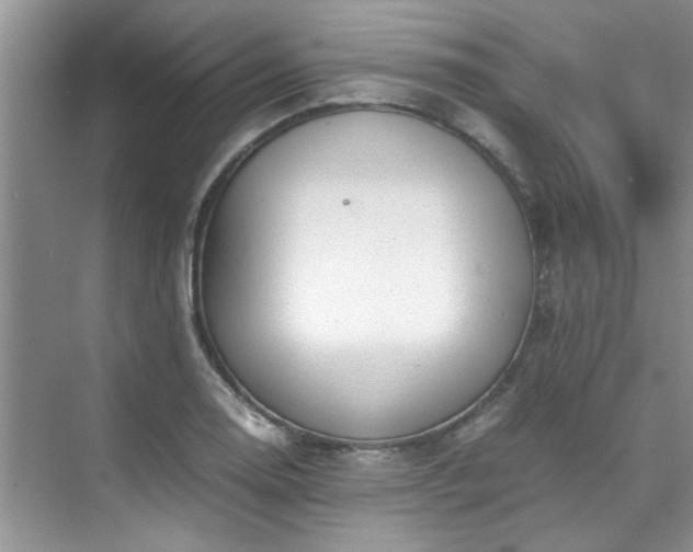 X0000070431130200606161457