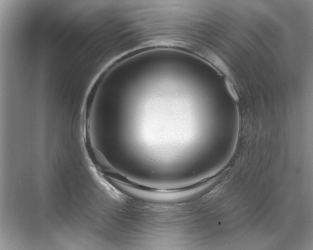 X0000070431132200606161457